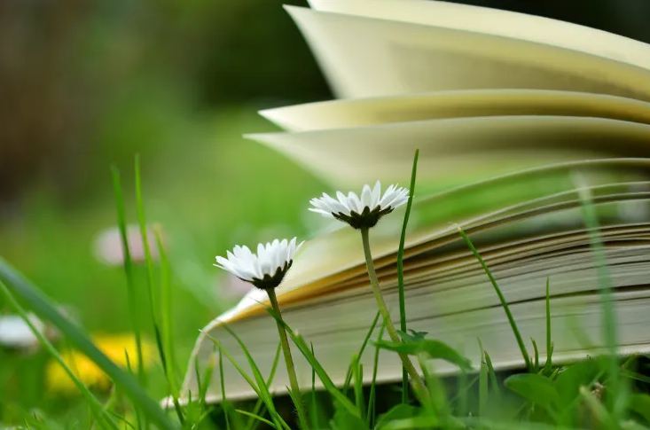 店鋪取名丨飯店起名字接地氣大全四個字