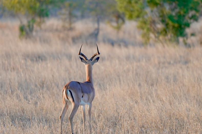 公司起名丨寓意昌盛的公司名