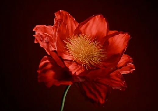 游戲起名丨奇跡覺醒情侶名字四個字，超可愛！