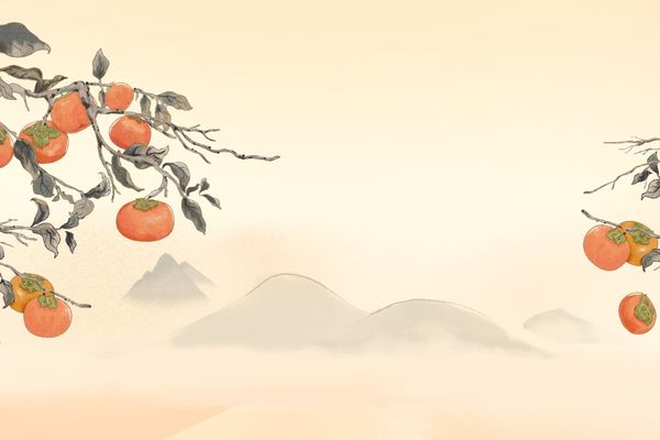 英文起名丨小眾情緒化英文ID