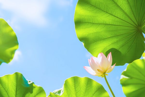 游戲昵稱簡短好聽古風(fēng)分享60個(gè)