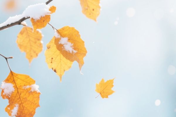 如何取一個好聽的王者榮耀單字ID?