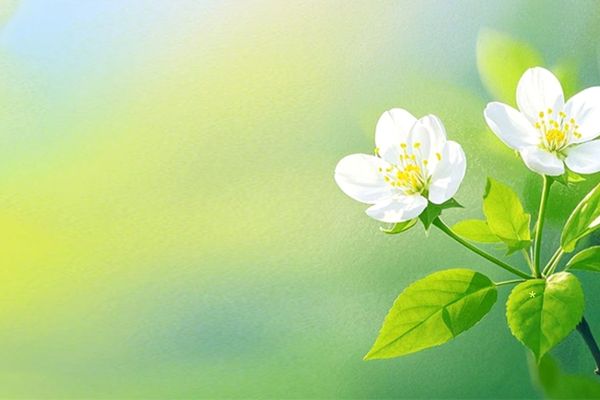 守望先鋒有趣的游戲id有哪些？