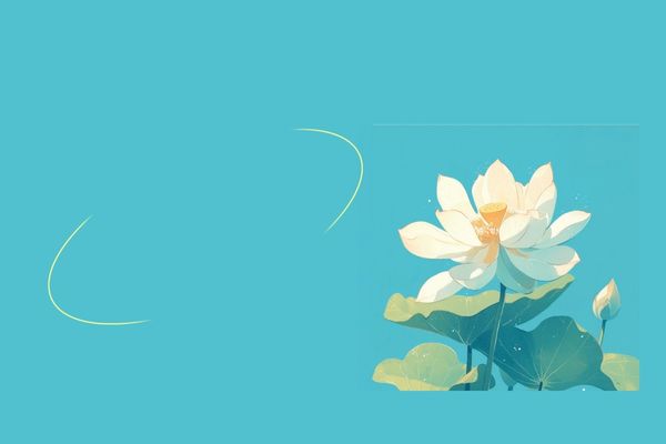 店鋪起名丨帶財運的炸雞店名字大全