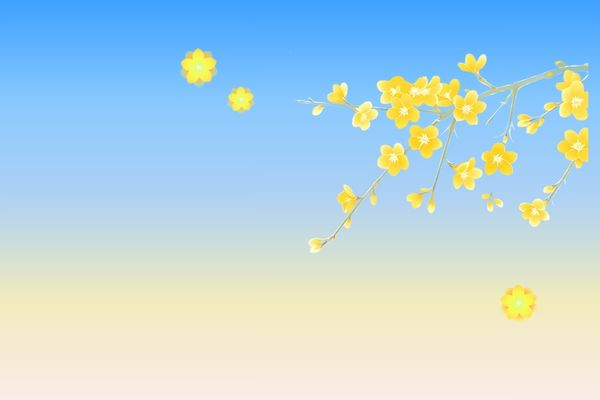 天花板級(jí)別的三字網(wǎng)名ID