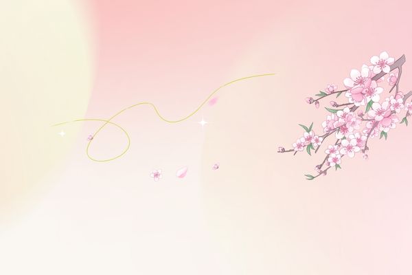 網(wǎng)名丨抽象好聽的小眾網(wǎng)名id