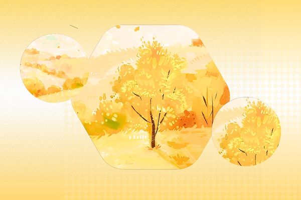 網(wǎng)名起名丨適合慵懶擺爛昵稱