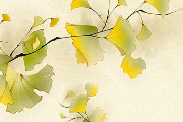 滿眼遺憾的意難平網(wǎng)名ID有哪些？