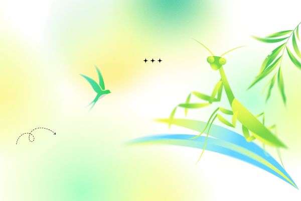 網名起名,取一個春意正濃的網名ID