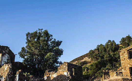 帶有福氣祥瑞的好聽女孩名字