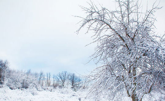 個性又好聽的CP微信網名大全
