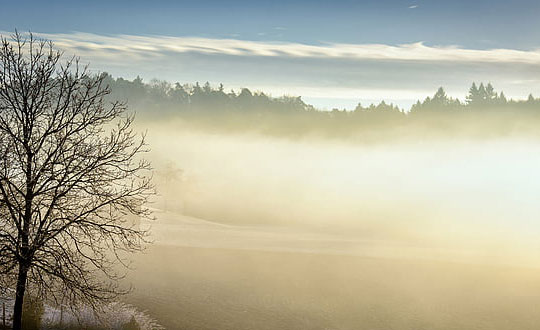 有氣質有靈性的男孩女孩名字分享