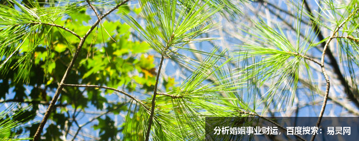 可鹽可甜的情侶網名ID 可鹽可甜的情侶網名ID