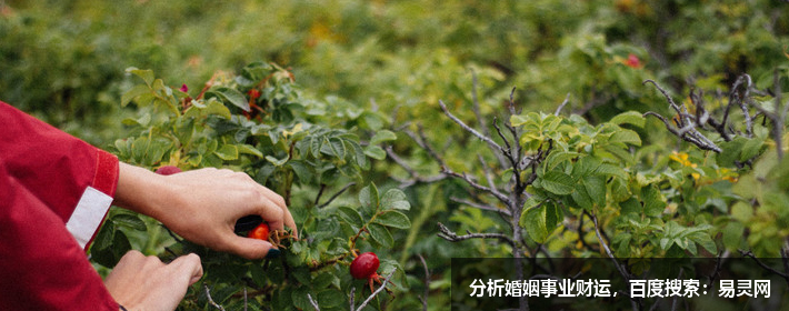 免費周易取名網公司取名 免費周易取名網公司取名